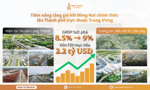 Dai Thanh Holdings Social post