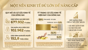 DTH Website Banner 2