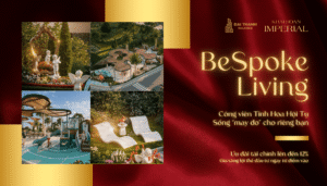 Website banner DTH 2